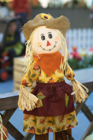 Events: King Cross 2023, Mini Farm 11