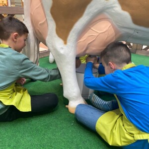 Events: King Cross 2023, Mini Farm 3