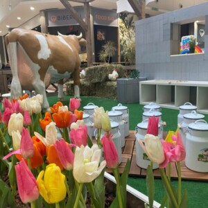 Events: King Cross 2023, Mini Farm 2