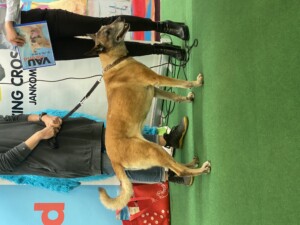 Events: King Cross 2023, Vau Weekend Presenter 1