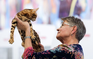 Events: King Cross 2023, Mijau Weekend 29