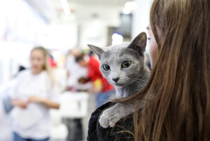 Events: King Cross 2023, Mijau Weekend 26