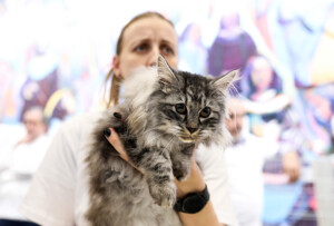 Events: King Cross 2023, Mijau Weekend 23