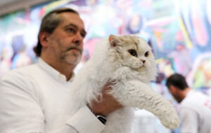 Events: King Cross 2023, Mijau Weekend 21