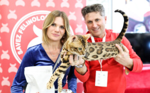 Events: King Cross 2023, Mijau Weekend 18