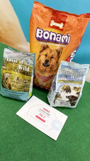 Eventi: King Cross 2023, Vau Vikend  + Hrana za pse na poklon