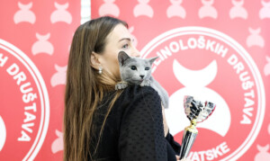 Eventi: King Cross 2023, Mijau Vikend + Mačka na ramenu 2