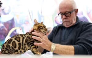 Eventi: King Cross 2023, Mijau Vikend + Nitro s ocjenjivačem