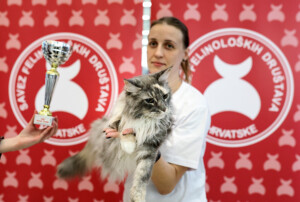 Eventi: King Cross 2023, Mijau Vikend + Siva čupava mačka s trofejem