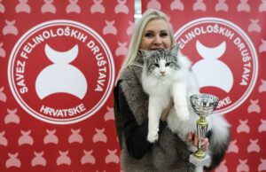 Eventi: King Cross 2023, Mijau Vikend + Bijela mačka s trofejem i vlasnicom