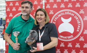 Eventi: King Cross 2023, Mijau Vikend + Siva mačka s vlasnicima