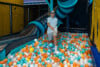 Centar: King Cross 2026, Otvorenje Twister igraonice 3